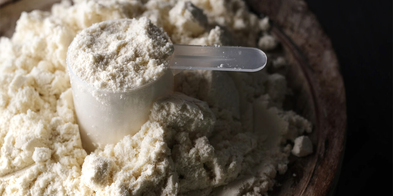 Das beste Proteinpulver: Konzentrat oder Isolat?